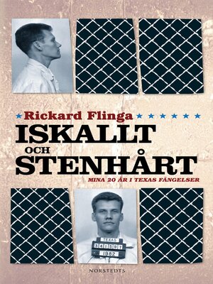 cover image of Iskallt och stenhårt